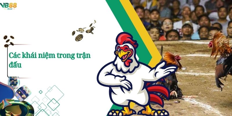 Thuật Ngữ Đá Gà – Những Khái Niệm Cốt Lõi Người Chơi Nên Biết 2 Các khái niệm trong trận đấu