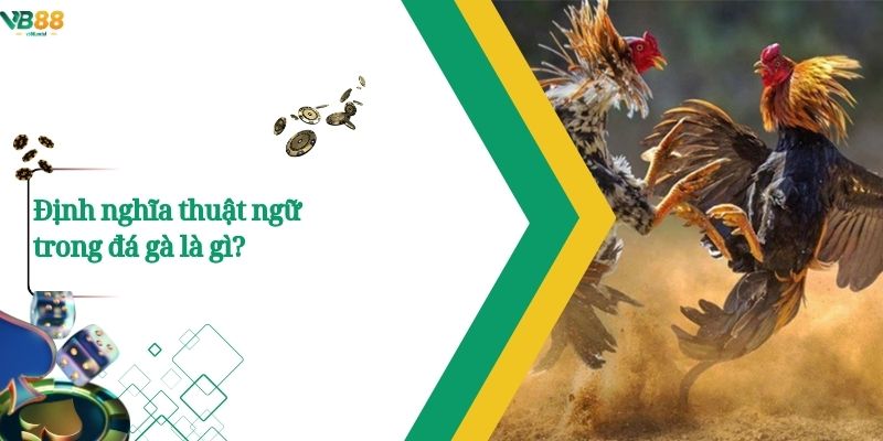 Thuật Ngữ Đá Gà – Những Khái Niệm Cốt Lõi Người Chơi Nên Biết 1 Định nghĩa thuật ngữ trong đá gà là gì?