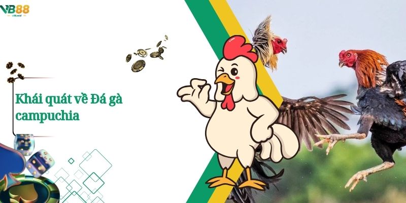 Xem Đá Gà Campuchia Trực Tuyến – Trận Đấu Nảy Lửa Chỉ Có Tại VB88 1 Khái quát về Đá gà campuchia