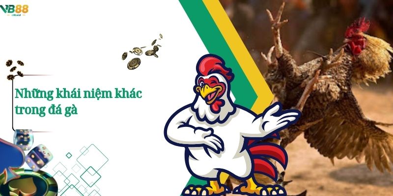 Thuật Ngữ Đá Gà – Những Khái Niệm Cốt Lõi Người Chơi Nên Biết 3 Những khái niệm khác trong đá gà