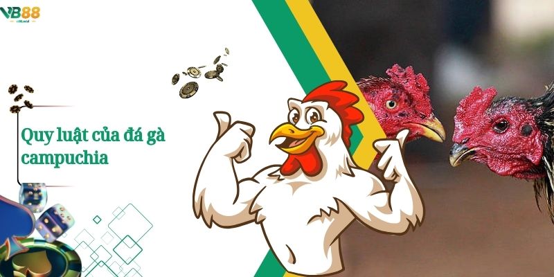 Xem Đá Gà Campuchia Trực Tuyến – Trận Đấu Nảy Lửa Chỉ Có Tại VB88 2 Quy luật của đá gà campuchia
