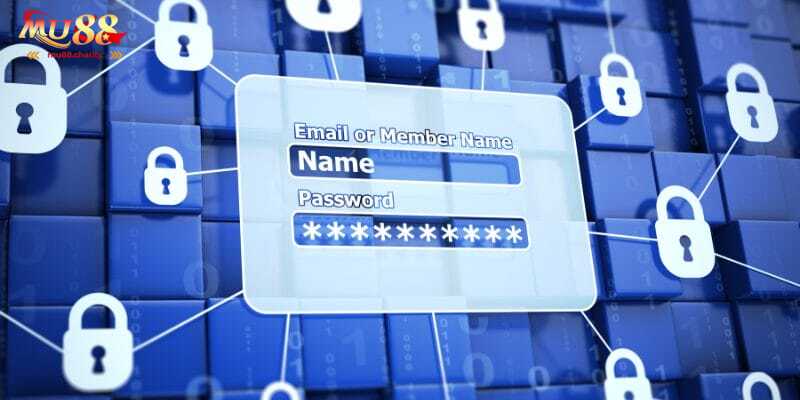 Sử dụng link chính thức